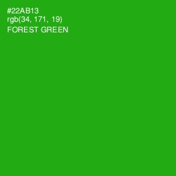 #22AB13 - Forest Green Color Image