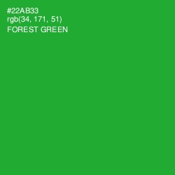 #22AB33 - Forest Green Color Image