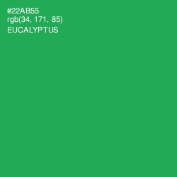 #22AB55 - Eucalyptus Color Image