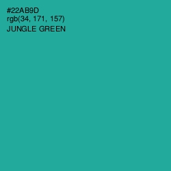 #22AB9D - Jungle Green Color Image