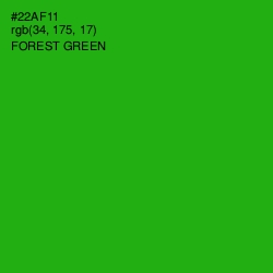 #22AF11 - Forest Green Color Image