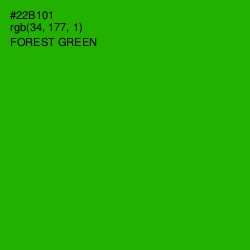 #22B101 - Forest Green Color Image