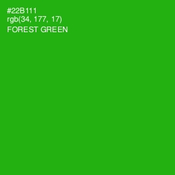 #22B111 - Forest Green Color Image