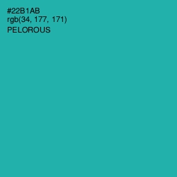 #22B1AB - Pelorous Color Image