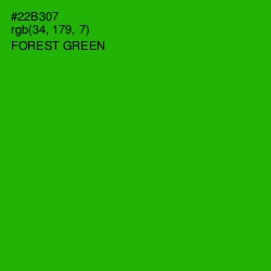 #22B307 - Forest Green Color Image