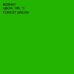 #22B401 - Forest Green Color Image