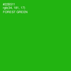 #22B511 - Forest Green Color Image