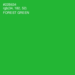 #22B634 - Forest Green Color Image