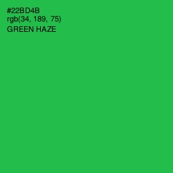 #22BD4B - Green Haze Color Image