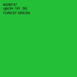 #22BF37 - Forest Green Color Image