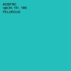 #22BFBC - Pelorous Color Image