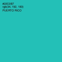 #22C0B7 - Puerto Rico Color Image