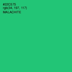 #22C575 - Malachite Color Image