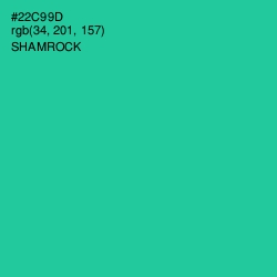 #22C99D - Shamrock Color Image