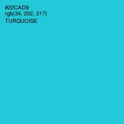 #22CAD9 - Turquoise Color Image