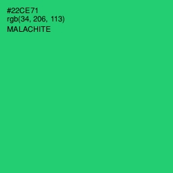 #22CE71 - Malachite Color Image