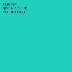 #22CFBF - Puerto Rico Color Image