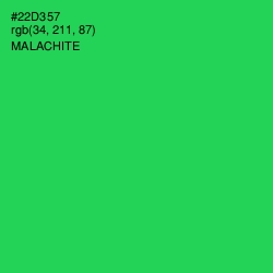#22D357 - Malachite Color Image