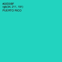 #22D3BF - Puerto Rico Color Image