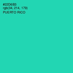 #22D6B3 - Puerto Rico Color Image