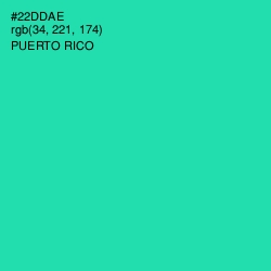 #22DDAE - Puerto Rico Color Image