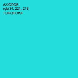 #22DDDB - Turquoise Color Image