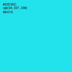 #22E3EC - Bright Turquoise Color Image