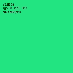 #22E581 - Shamrock Color Image