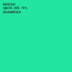 #22E5A1 - Shamrock Color Image
