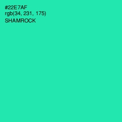 #22E7AF - Shamrock Color Image