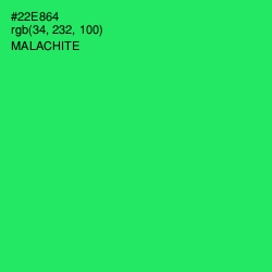 #22E864 - Malachite Color Image