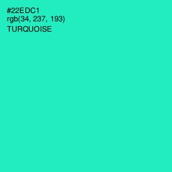 #22EDC1 - Turquoise Color Image