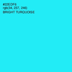 #22EDF6 - Bright Turquoise Color Image