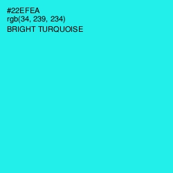 #22EFEA - Bright Turquoise Color Image