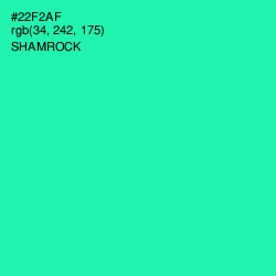 #22F2AF - Shamrock Color Image