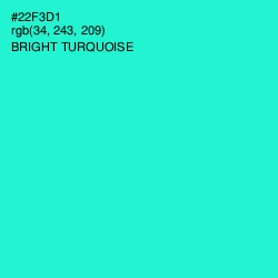 #22F3D1 - Bright Turquoise Color Image