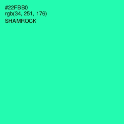 #22FBB0 - Shamrock Color Image