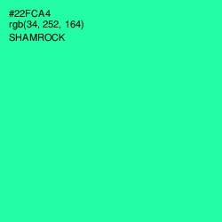 #22FCA4 - Shamrock Color Image