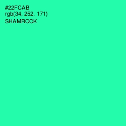 #22FCAB - Shamrock Color Image