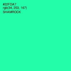 #22FDA7 - Shamrock Color Image