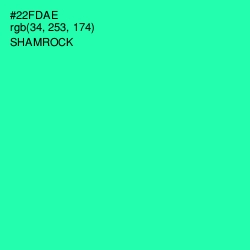 #22FDAE - Shamrock Color Image