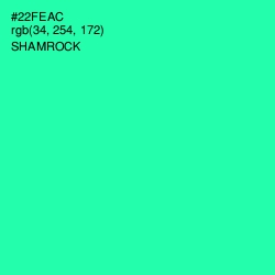 #22FEAC - Shamrock Color Image