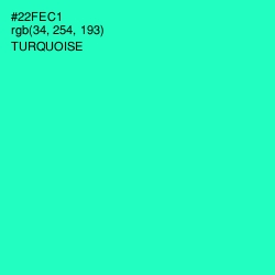 #22FEC1 - Turquoise Color Image