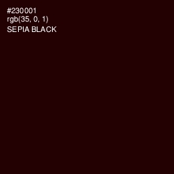 #230001 - Sepia Black Color Image