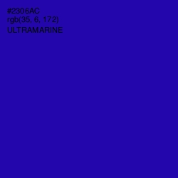 #2306AC - Ultramarine Color Image