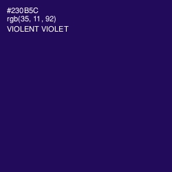 #230B5C - Violent Violet Color Image