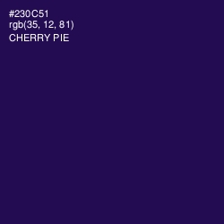 #230C51 - Cherry Pie Color Image
