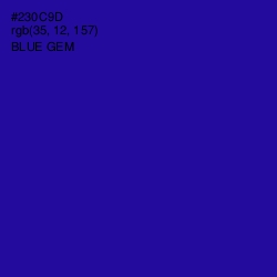 #230C9D - Blue Gem Color Image