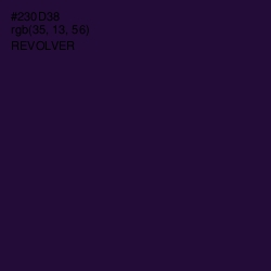 #230D38 - Revolver Color Image