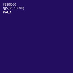 #230D60 - Paua Color Image